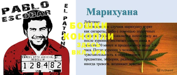 тгк Бронницы
