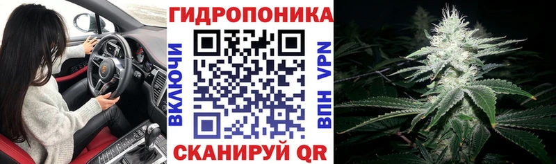 купить   Тобольск  mega как войти  Каннабис OG Kush 